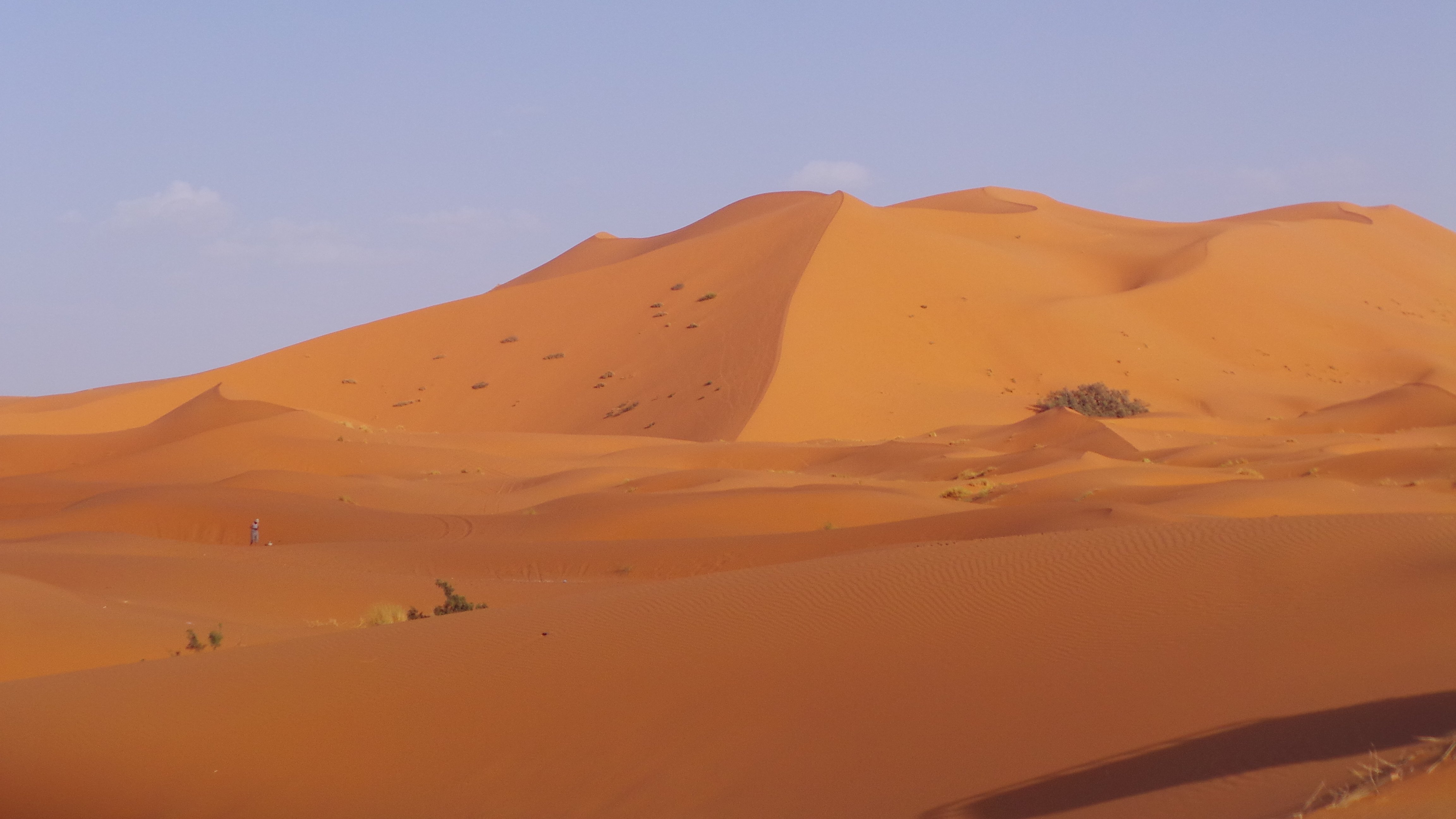 Go Morocco Desert Tours