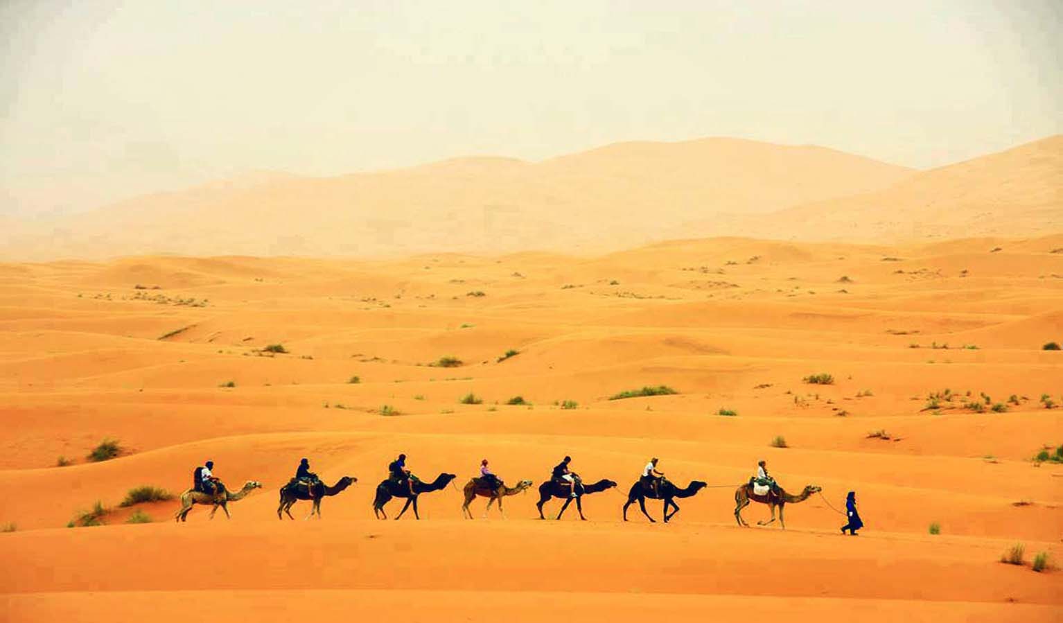 Go Morocco Desert Tours