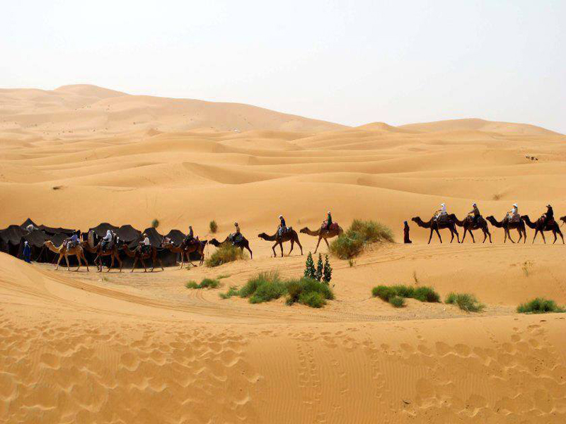 Go Morocco Desert Tours